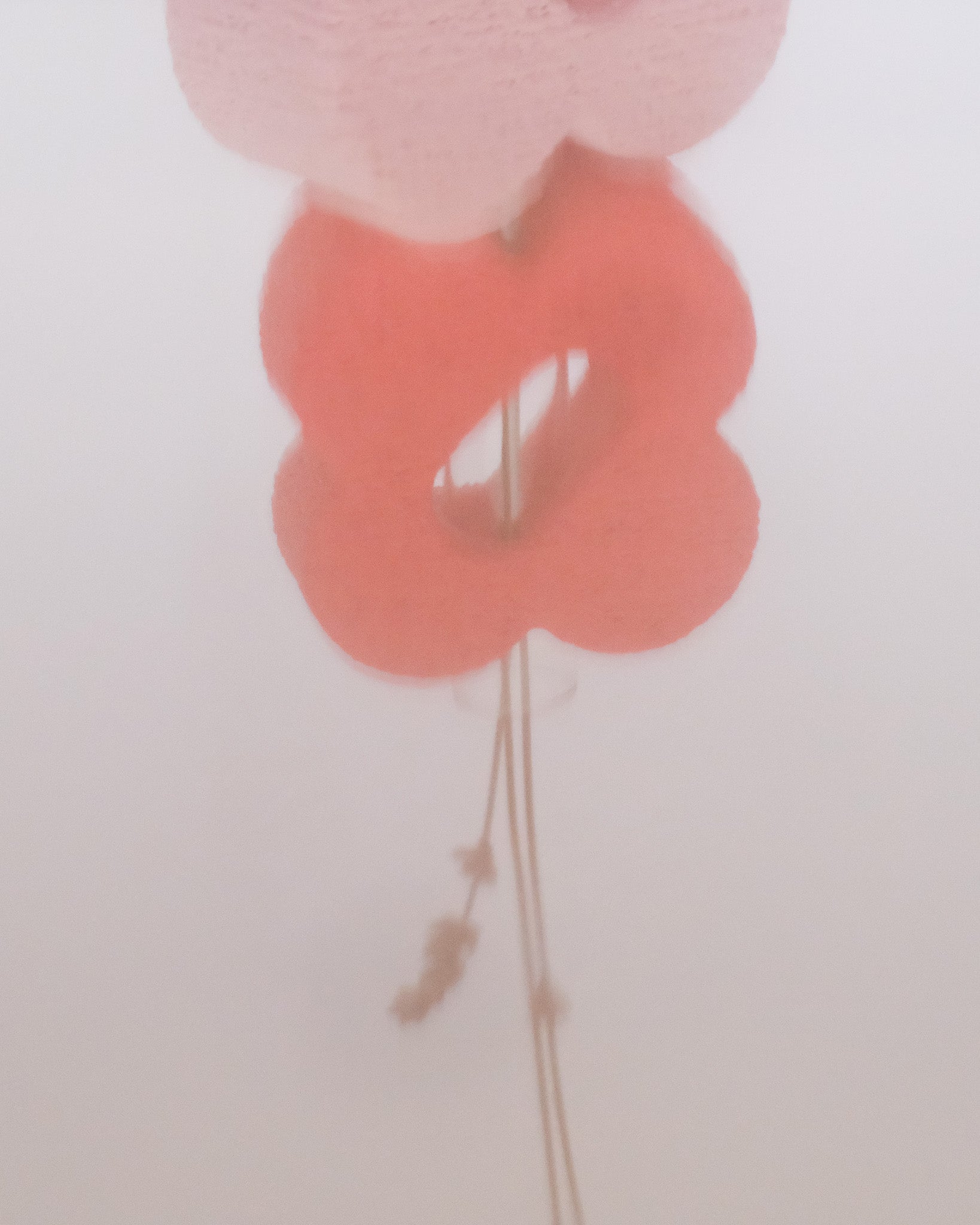 Flower Vase with Glass Flute