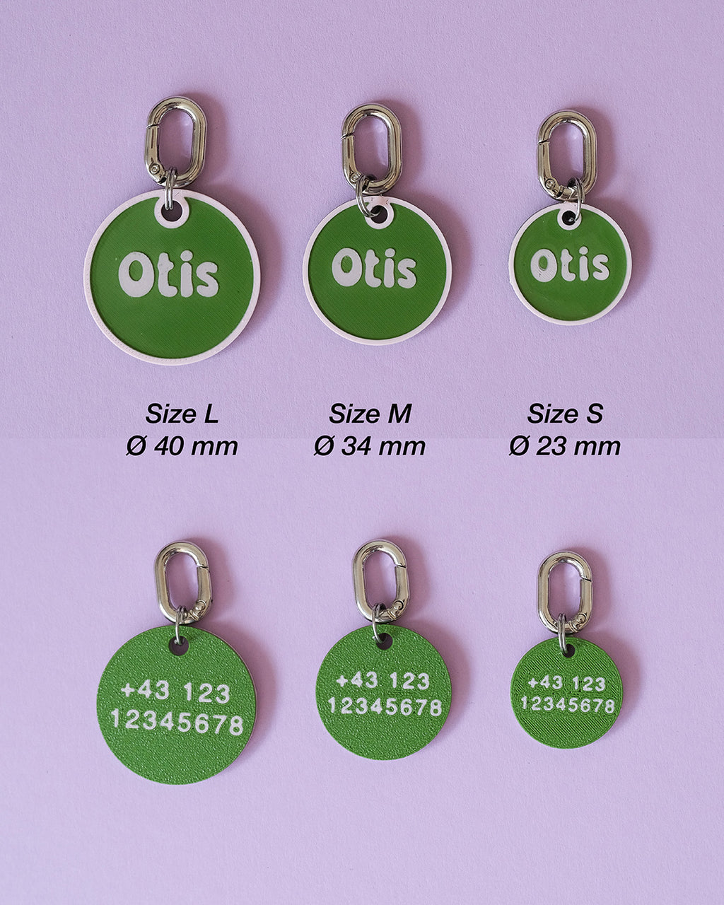 Chunky Carabiner Pet ID Tag with Back-Side Phone Number