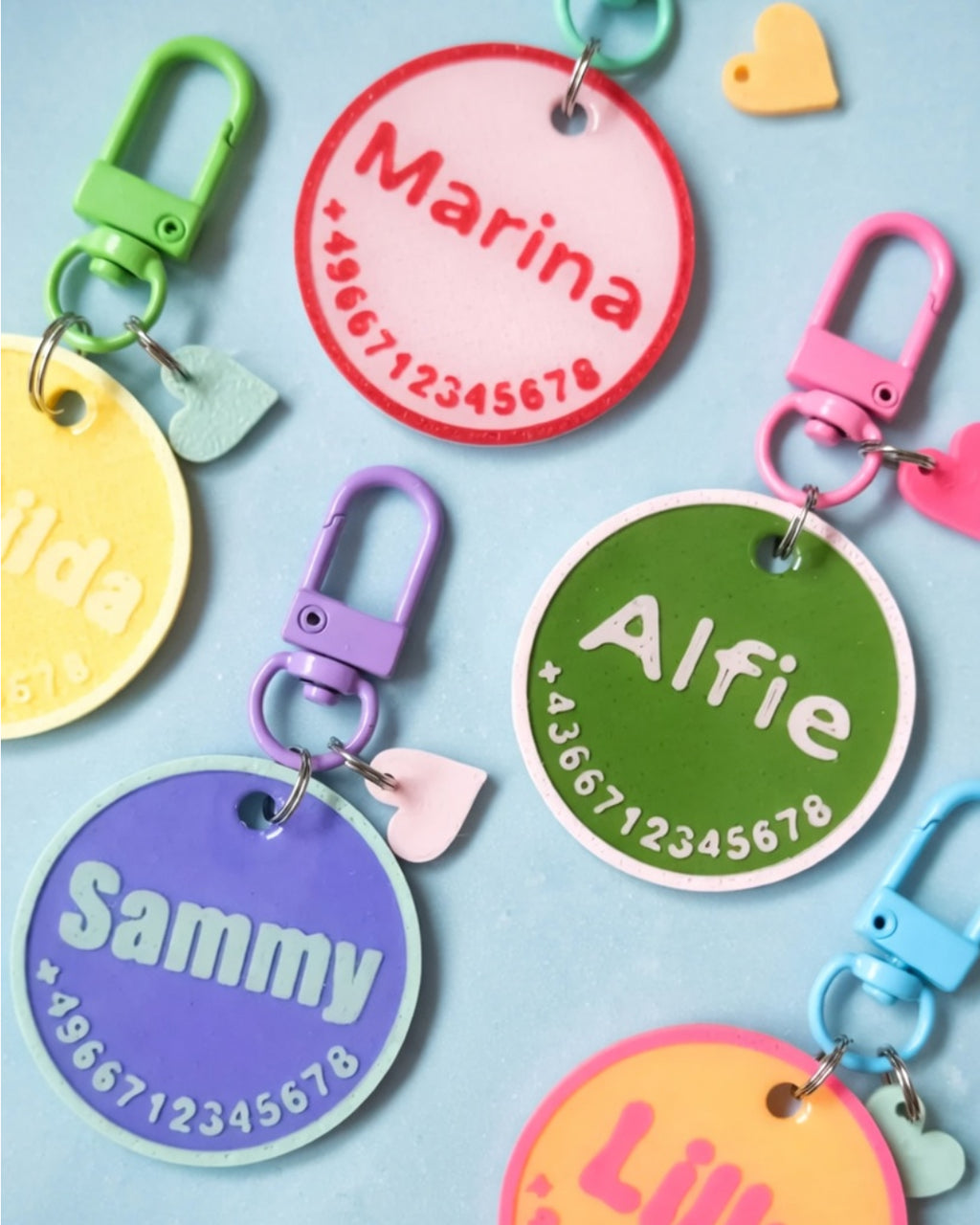Pet ID Tag with Charm and Front Number
